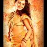 Minal-Ghorapade-Marathi-Actress-in-saree-2