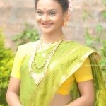 Minal-Ghorapade-Marathi-Actress-in-saree-8