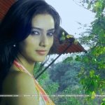 pallavi-subhash-actress-wallpapers-5